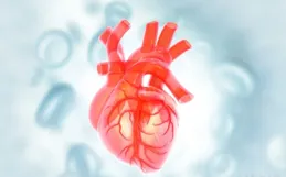 體檢查出有器官「鈣化」，意味著生大病了？一文講懂