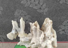 神奇的新疆風淩石