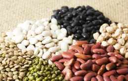 5種豆：促睡眠、減肥、補鈣、健脾祛濕！滋補腎氣就選它