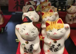 招財貓的原型究竟是什麽貓？讓你大開眼界的秘密！