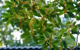 飆風7級！最低12℃！南京接下來……