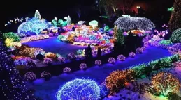 雷射雕刻工藝品：科技之美的璀璨綻放