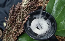 1瓶白酒約等於多少瓶啤酒？想要酒場不吃虧，來聽聽專業人士分析