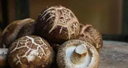 四種內建「天然青黴素」的食物，中老年人隔天吃1次強免疫少生病