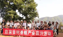 千年古榧迎豐收 暨陽學子成趙家香榧新代言人