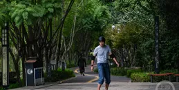 「秋意」（345） | 上遊主題攝影征稿作品展——陳雨敏作品