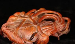 一京爺花5萬撿漏個「老犀角杯」，鑒定後頭暈目眩？