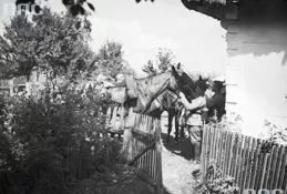 平獨鎮露大波波許麽梗？