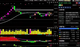 作為華為海思、鴻蒙、昇騰、鯤鵬的核心總代理，四公司正急速騰飛