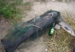 地鐵逃生最難刷Boss排行