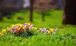 心念深深，秋冷雨寒，一念荷葉殘，一念落葉亂