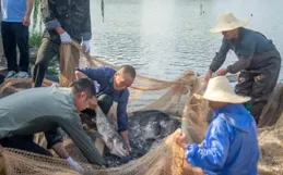 一萬一千斤！免費吃！金華這所大學饞哭人