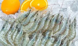 羅氏蝦、基圍蝦全是「激素」泡大的？其實這種蝦才是「問題蝦」