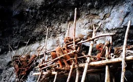 揭開謎團：嚴酷環境下煙熏木乃伊的驚人保存