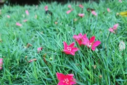 不知不覺中，我也到了貼狗皮膏藥的年紀