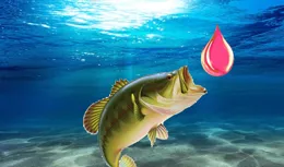 釣魚時如果魚不愛開口，只需5點改變，魚口立刻變好