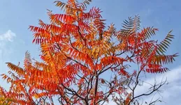 安靜是一個人最好的養生！