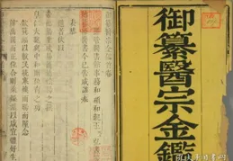 漢代藥簡藏現代「醫生體」 創中國醫學多項「之最」