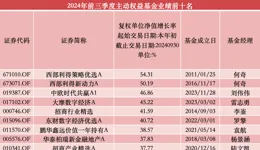 前三季度兩只「冠亞基」收益超50%，超八成百億級主動權益基金「回血」