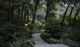 什麽頂奢酒店，四點半就叫人起床了……