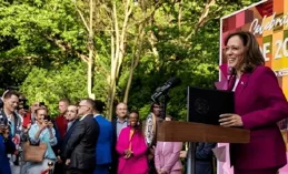 哈裏斯政治生涯會迎來轉機嗎？新報道已出，瞬間引發媒體關註！