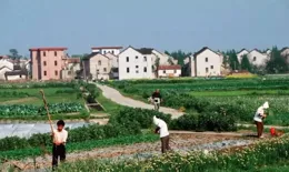 農業強國應該在農村，農村是發展根據地，為何農村一直沒發展？