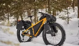 胖胎自由車很難踩嗎？有哪些優缺點？胖胎自由車你需要知道的一切