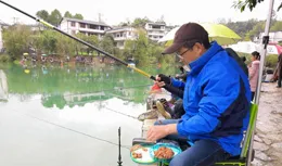 釣王怒斥酒米誘魚騙局，酒米到底能不能誘魚？酒米的誘魚效果分析