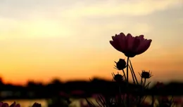 能夠成大事的人，往往都有一個明顯特征