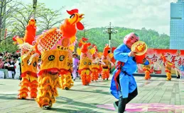 鳳舞百年！前山鳳雞舞展示非遺魅力