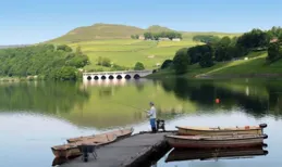 釣白條太容易，誰不會釣？別吹牛，想釣好白條魚同樣需要技術