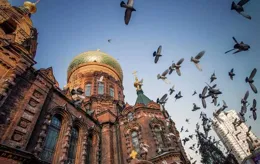 沈陽、大連、長春、哈爾濱，第一次去東北玩應該選哪個？