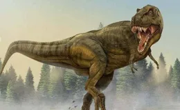 恐龍滅絕是必然的？為何科學家認為，恐龍沒滅絕人類不可能出現？