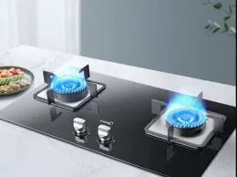 萬和燃氣竈哪款型號好？實用購買技巧詳解