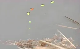 深秋降溫，鯽魚「4大黃金」釣點+七星漂逗釣，大鯽魚能連桿上鉤！