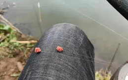 從釣底到釣浮的輕松轉換，教你如何讓魚兒自願上鉤！