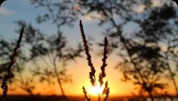 人，心態好，一切就好！