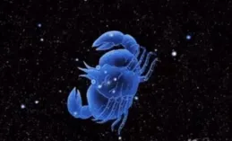 十二星座中，外精內也精的前五名是誰呢，看看有沒有你呢