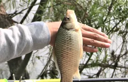 秋冬季節，為什麽降溫當天好釣魚，升溫當天不好釣魚？