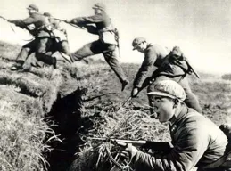 抗美援朝時，哪國軍隊傷亡最多？損兵近100萬，美軍最佳「炮灰」