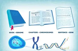 編輯人類基因是絕不能觸碰的禁忌？只要合理使用，它就能治病救人