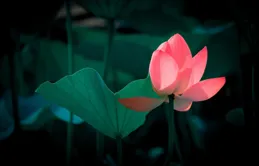 能給孩子提供情緒價值的父母，越容易培養出幸福感強的孩子