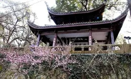 晚潮｜孤山行宮賞桂