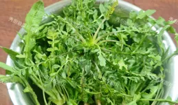 秋天，男人養肝強壯，女人養肝漂亮，中老年人多吃5樣「養肝菜」