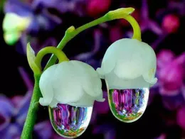 降溫了這麽發，去顛死你的朋友圈