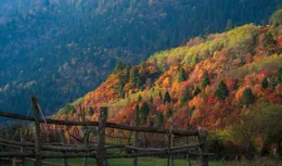 中國美院「一葉織秋」首次綻放九寨