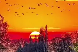 歲月流轉，塵埃落定，願君自在平胡。