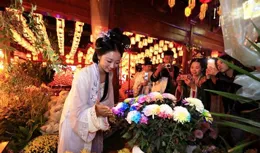 河南開封：夜賞菊花醉遊人