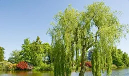 隨筆 ︱ 山寒水瘦冬臨近