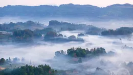 「秋意」（360） | 上遊主題攝影征稿作品展——羅建作品